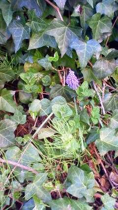 c0107180_20362098.jpg