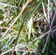 c0107180_2041082.jpg