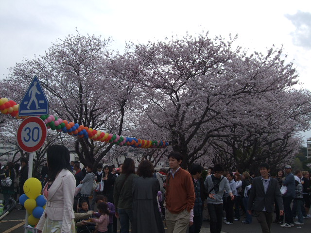e0123680_1128446.jpg