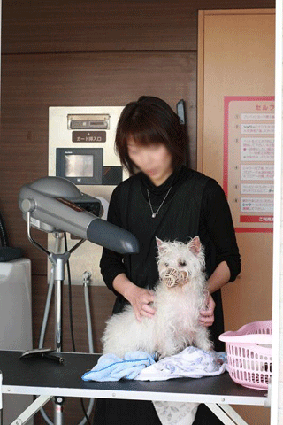 e0066883_1984297.gif