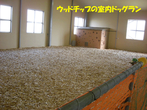 e0066883_2035953.gif