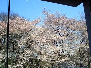 c0073987_18572651.jpg