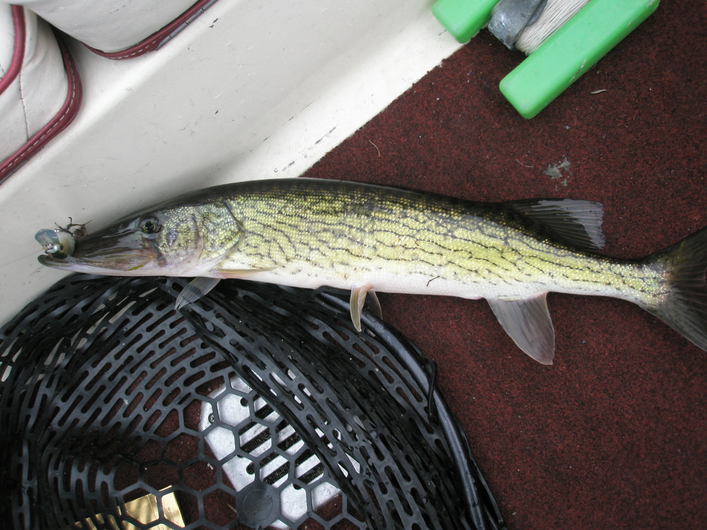 f0024887_7451078.jpg