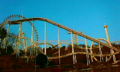 f0170387_1631138.jpg