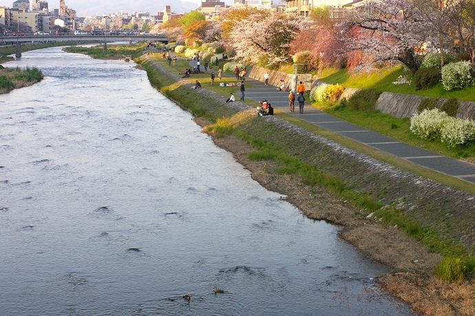 b0080789_1512630.jpg