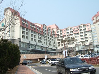 a0079990_2118568.jpg