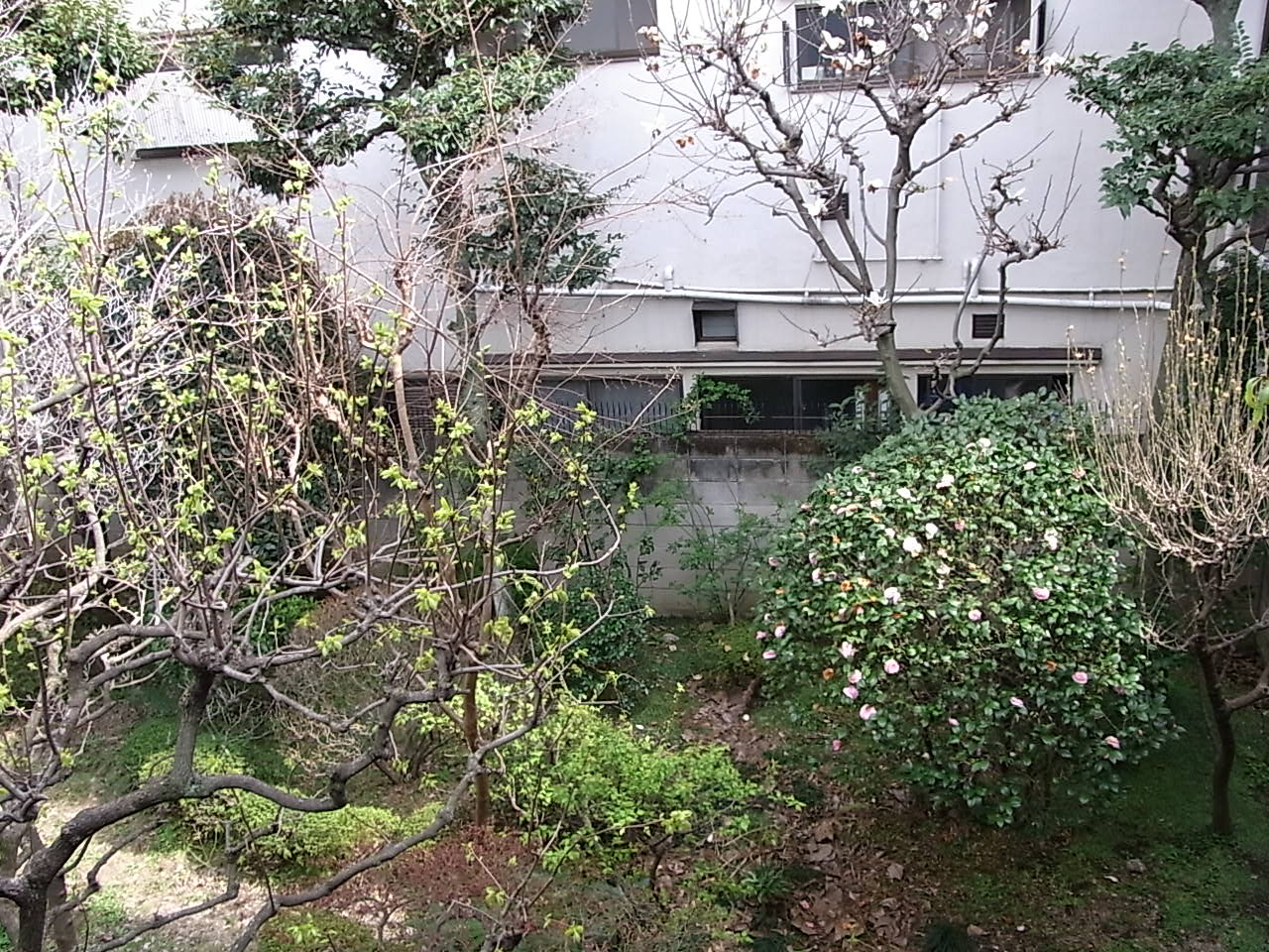 c0195791_13525685.jpg