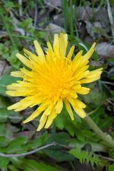 b0104592_15384849.jpg