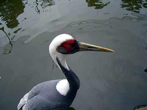 d0131293_21114139.jpg