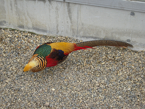 d0131293_2112508.jpg