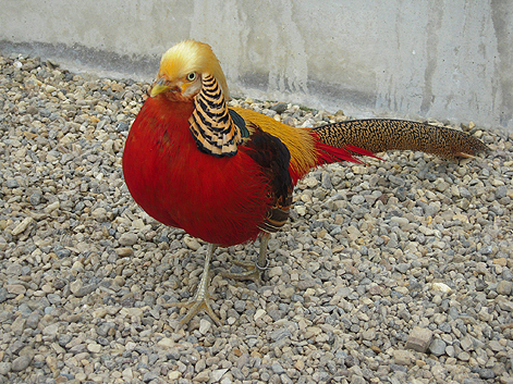 d0131293_21125775.jpg