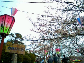 a0061594_1253573.jpg