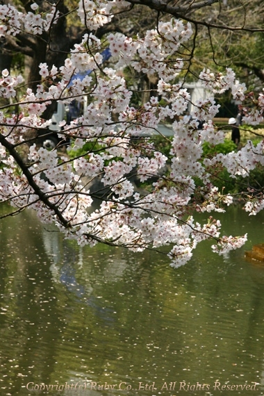 c0187594_23551032.jpg