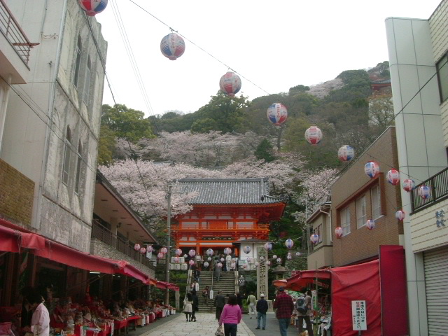 b0044296_1031335.jpg