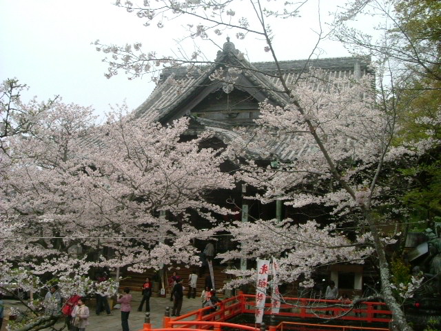 b0044296_1042152.jpg