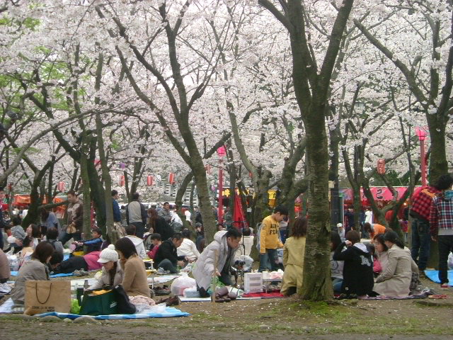 b0044296_1050249.jpg