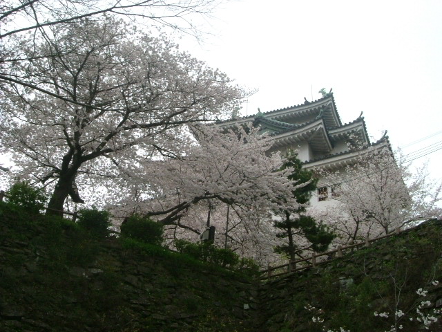 b0044296_1051593.jpg