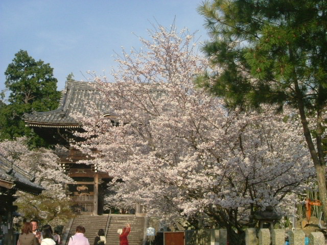 b0044296_10573188.jpg