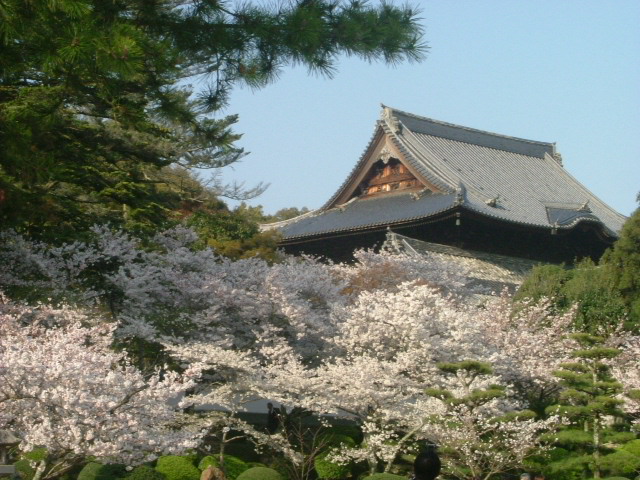 b0044296_10582291.jpg