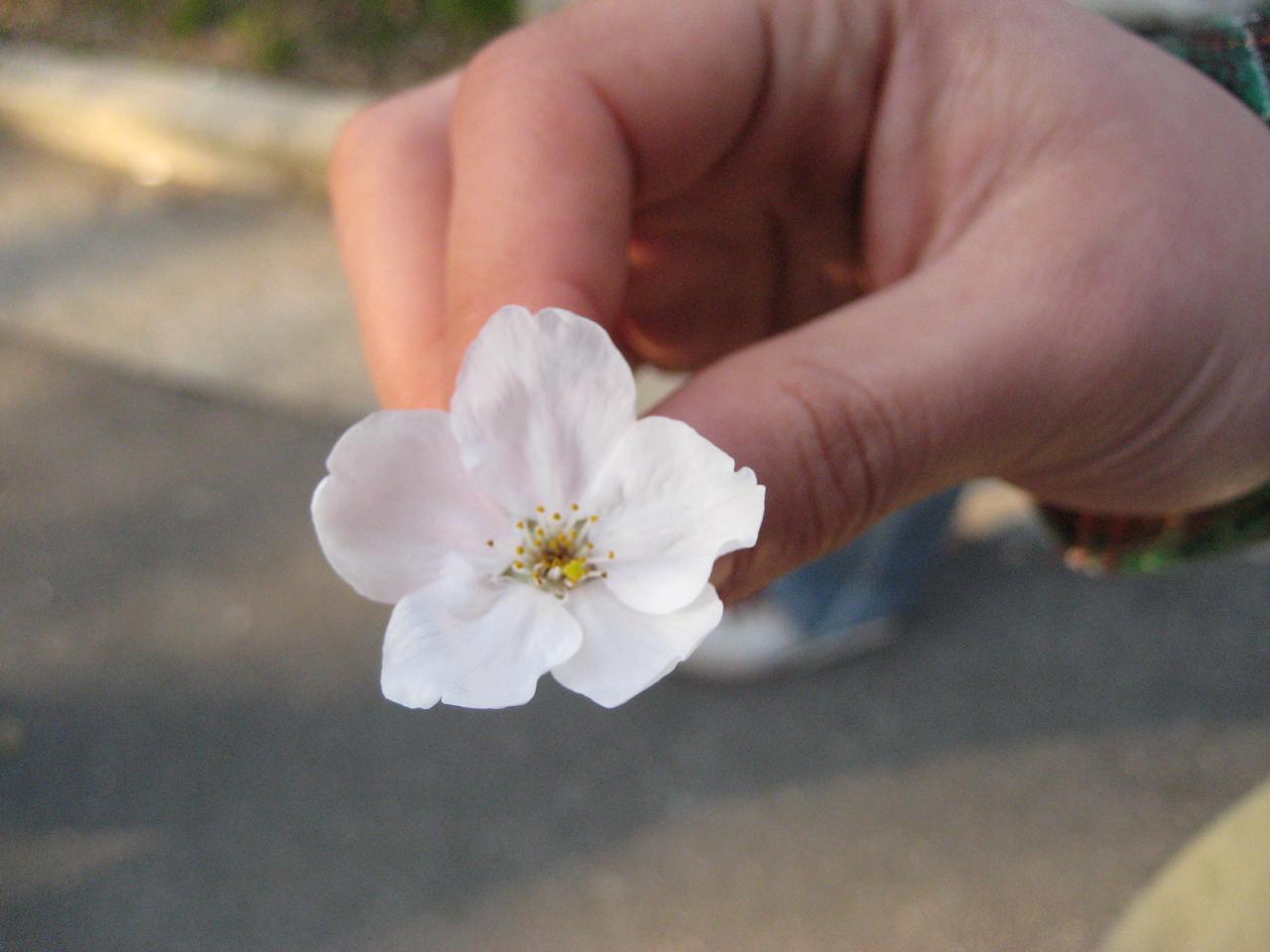 f0013998_5402459.jpg