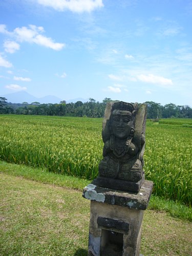 a0036499_2219697.jpg