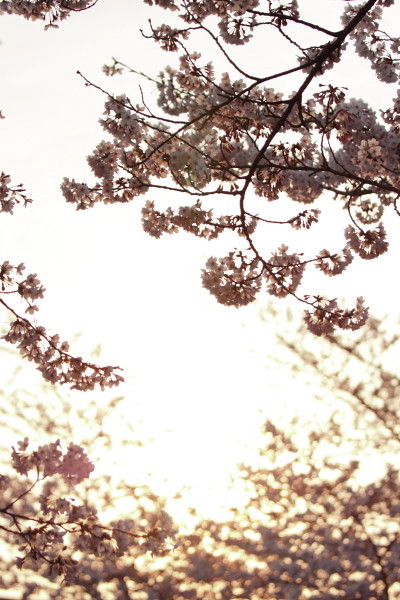 c0044199_225292.jpg