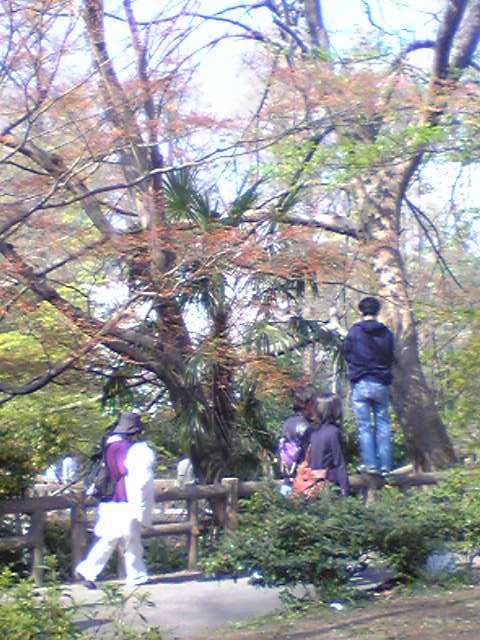 c0075299_232323.jpg