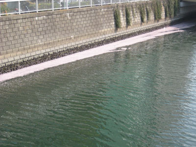 b0097200_1305598.jpg