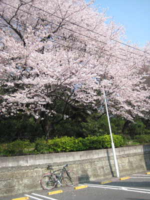 b0097200_130925.jpg