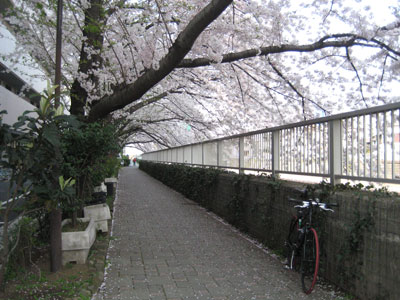 b0097200_1345354.jpg