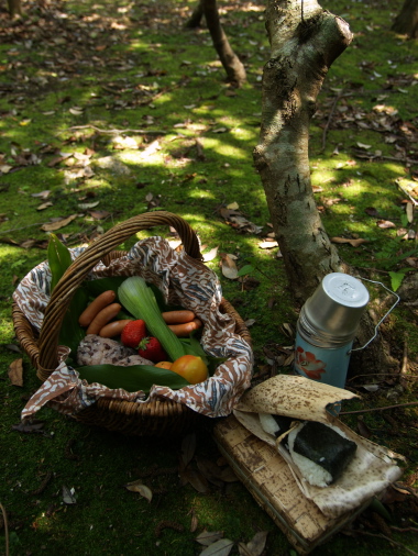 e0089001_21335520.jpg