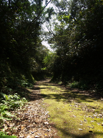 e0089001_21422740.jpg
