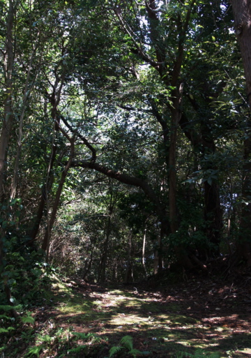 e0089001_21442586.jpg