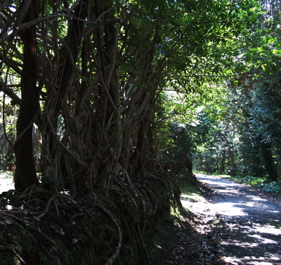 e0089001_21573144.jpg
