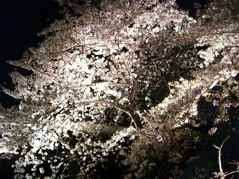 a0057402_21132316.jpg