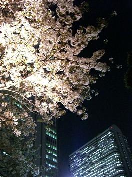 a0057402_21271598.jpg