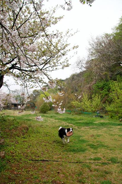 f0034602_2150334.jpg