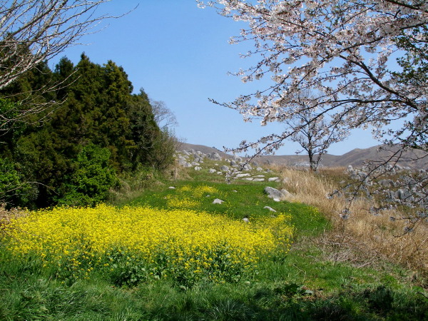 c0036203_1910187.jpg