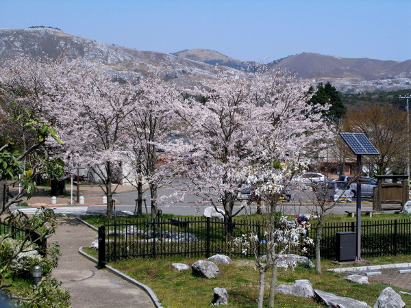 c0036203_194368.jpg