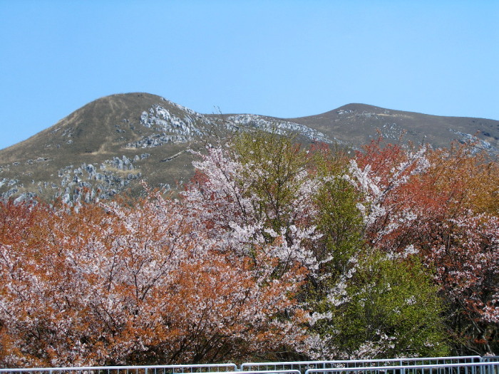 c0036203_2023317.jpg
