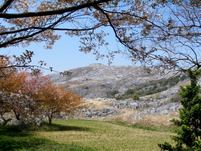 c0036203_20253811.jpg