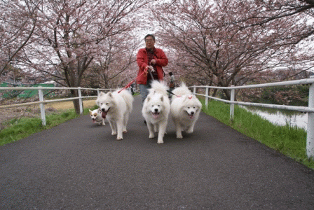 e0018604_7373260.gif