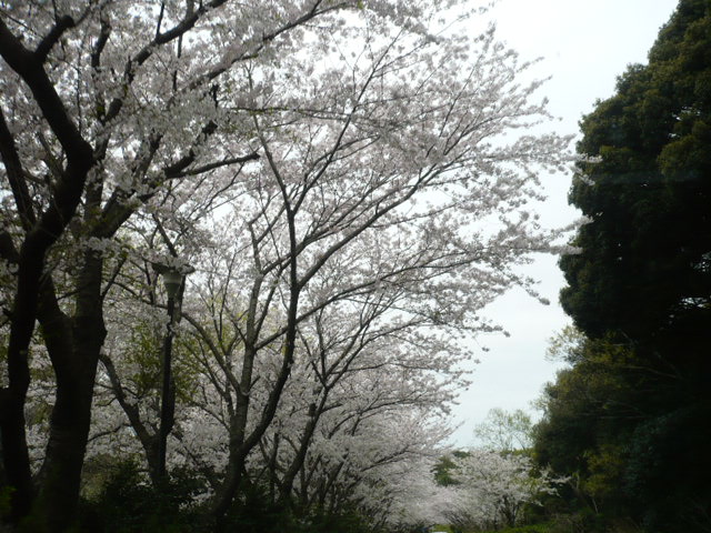 f0185804_1040161.jpg