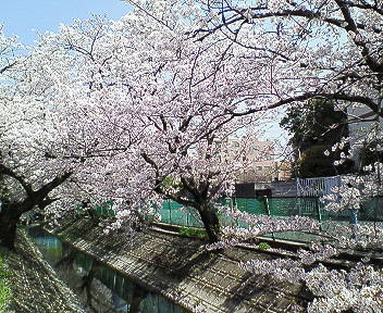 c0017505_129559.jpg
