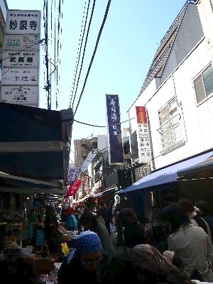 c0058606_316183.jpg
