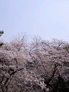 a0088007_21132268.jpg