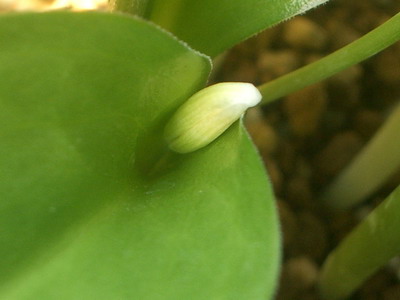 b0052108_101061.jpg