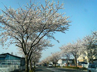 f0127408_23524439.jpg