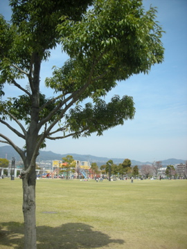 c0145209_15415519.jpg