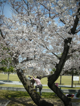 c0145209_15492486.jpg
